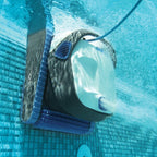 Genuine Maytronics Dolphin Front and Rear PVC Brushes – 2 Pack | X25, X30, X40, S150, S200, S300i, S400 & More